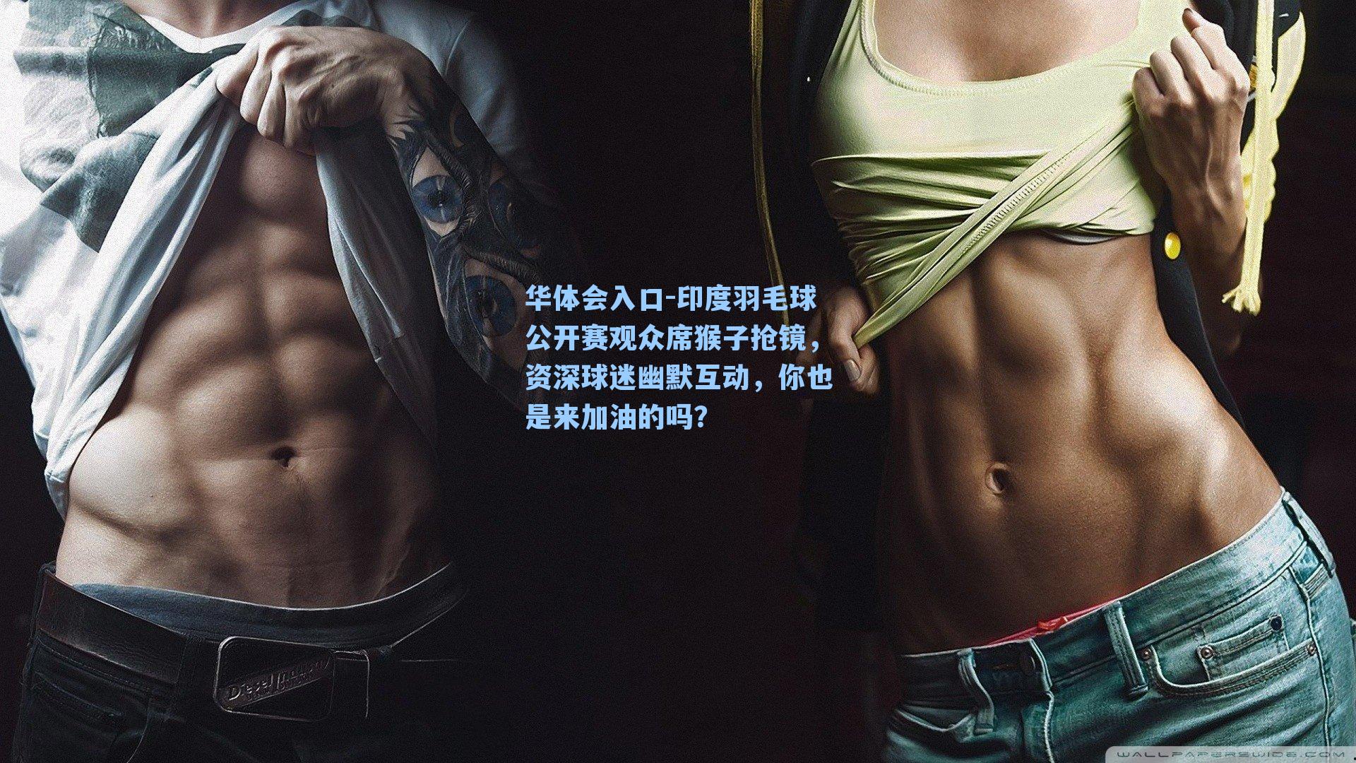 印度羽毛球公开赛观众席猴子抢镜，资深球迷幽默互动，你也是来加油的吗？