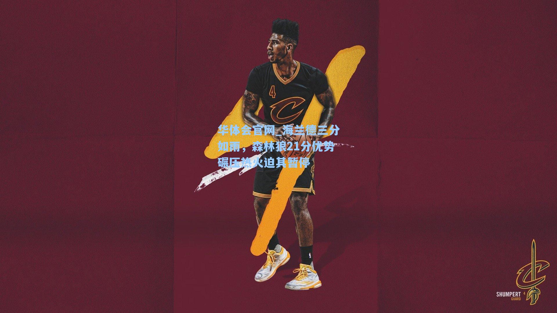 海兰德三分如雨，森林狼21分优势碾压热火迫其暂停